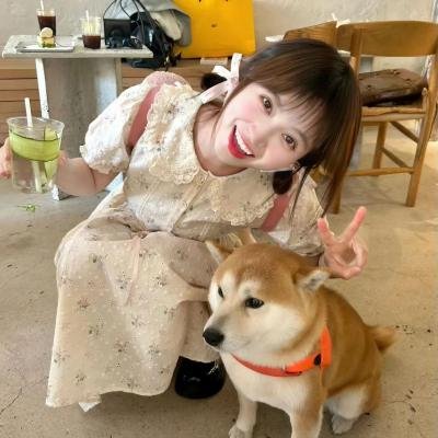 战国妖姬